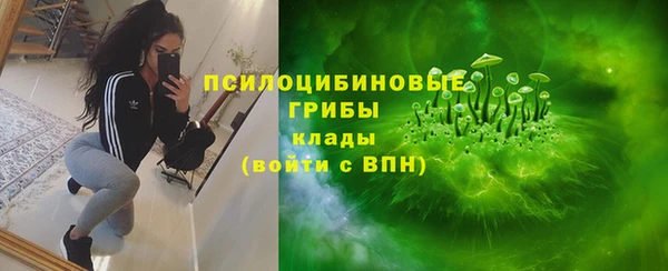 прущие крисы Аркадак
