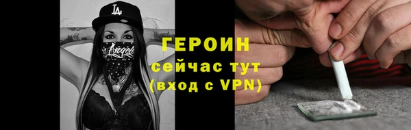 гидра Богородицк
