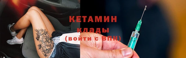 ПСИЛОЦИБИНОВЫЕ ГРИБЫ Богданович