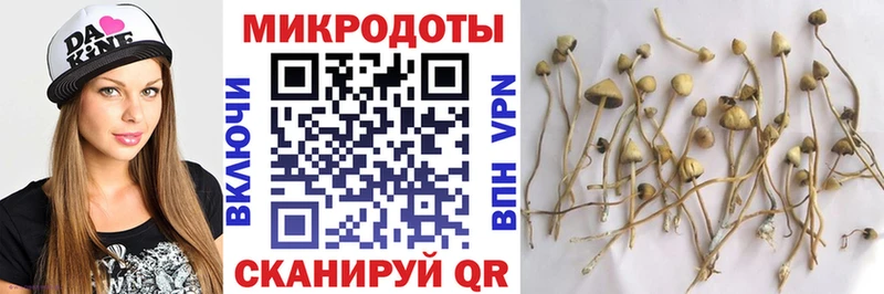 Галлюциногенные грибы GOLDEN TEACHER  наркошоп  Наволоки 